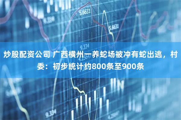 炒股配资公司 广西横州一养蛇场被冲有蛇出逃，村委：初步统计约800条至900条
